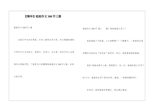 姐姐作文300字三篇