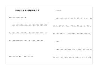 婚姻状况承诺书模板锦集八篇