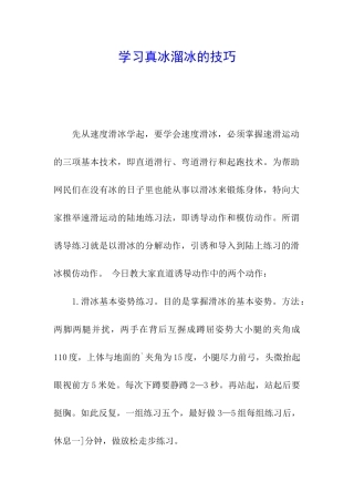 学习真冰溜冰的技巧