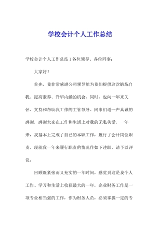 学校会计个人工作总结