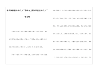 学校执行校长的个人工作总结特殊学校校长个人工作总结