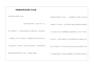 学校新教师试用期工作总结