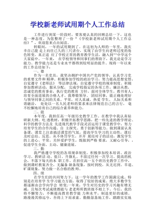 学校新教师试用期个人工作总结