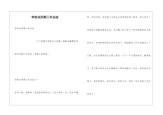 学校试用期工作总结