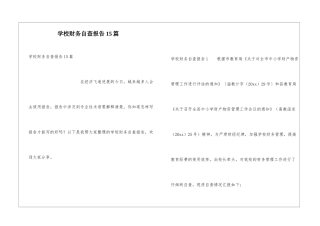 学校财务自查报告15篇