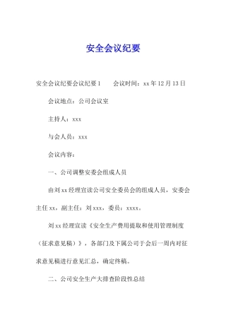 安全会议纪要