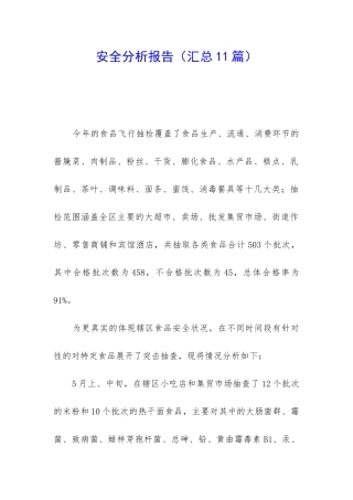 安全分析报告
