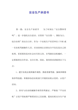 安全生产承诺书