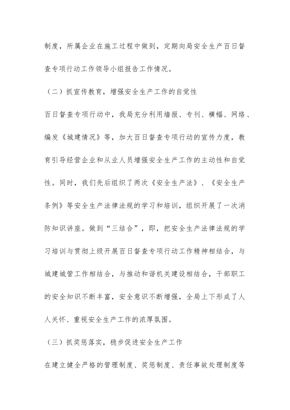 安全生产百日督查专项行动工作总结-_第2页