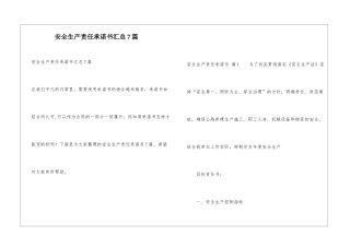 安全生产责任承诺书汇总7篇