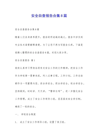 安全自查报告合集8篇-