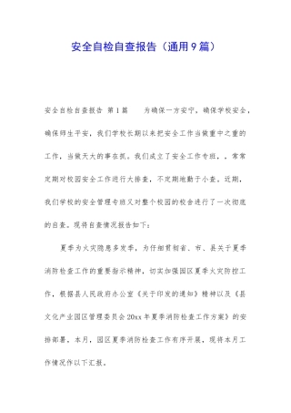 安全自检自查报告