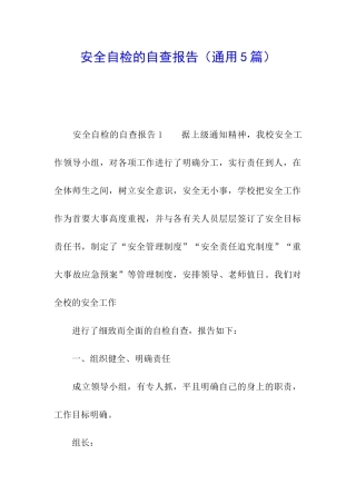 安全自检的自查报告