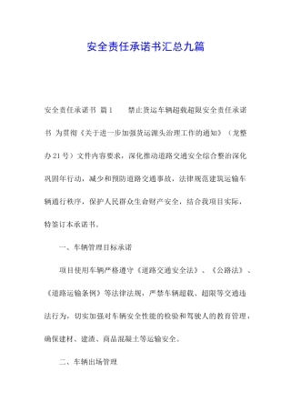 安全责任承诺书汇总九篇