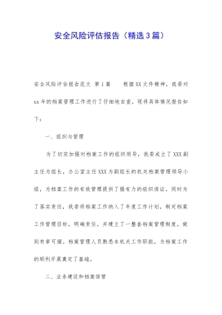 安全风险评估报告