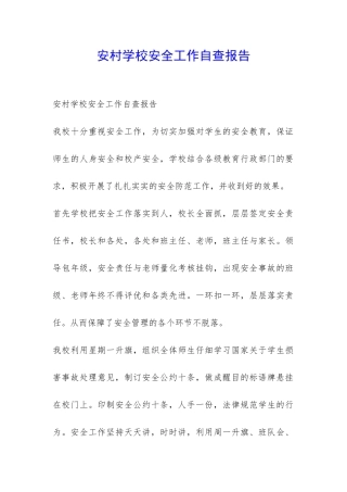 安村学校安全工作自查报告-