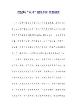 安监局“四风”整治剖析自查报告-