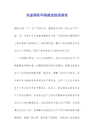 安监局软环境建设践诺报告-