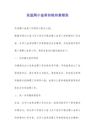 安监局小金库自检自查报告-