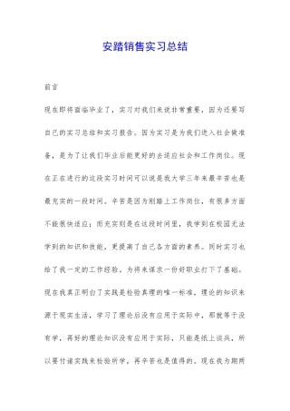 安踏销售实习总结-