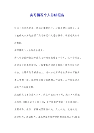 实习情况个人总结报告-