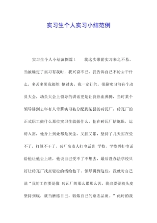 实习生个人实习小结范例