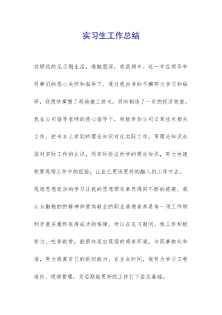 实习生工作总结-