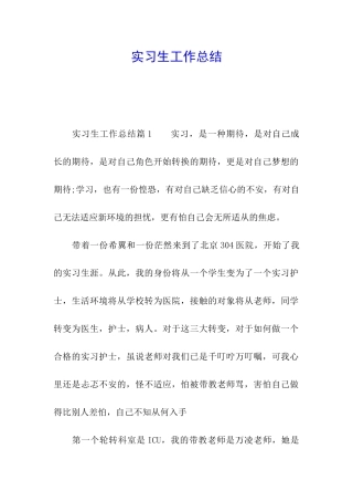 实习生工作总结