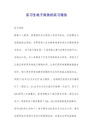 实习生电子商务的实习报告-