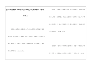 实习试用期转正总结范文2024it试用期转正工作总结范文