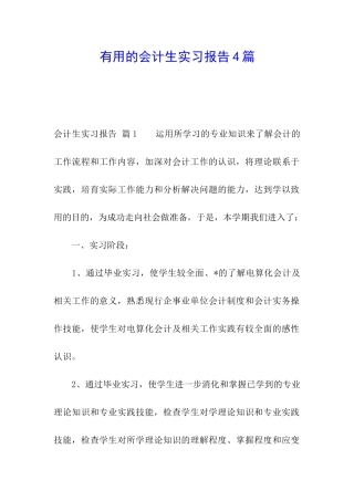 实用的会计生实习报告4篇