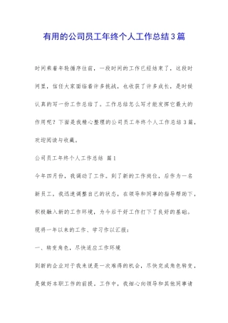 实用的公司员工年终个人工作总结3篇-