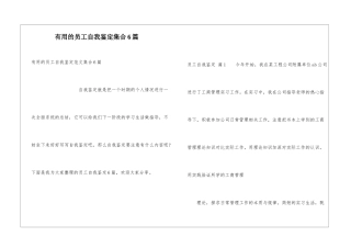 实用的员工自我鉴定集合6篇