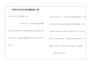 实用的大学生实习报告模板集合5篇