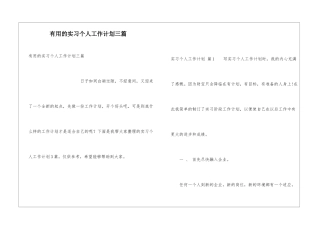 实用的实习个人工作计划三篇