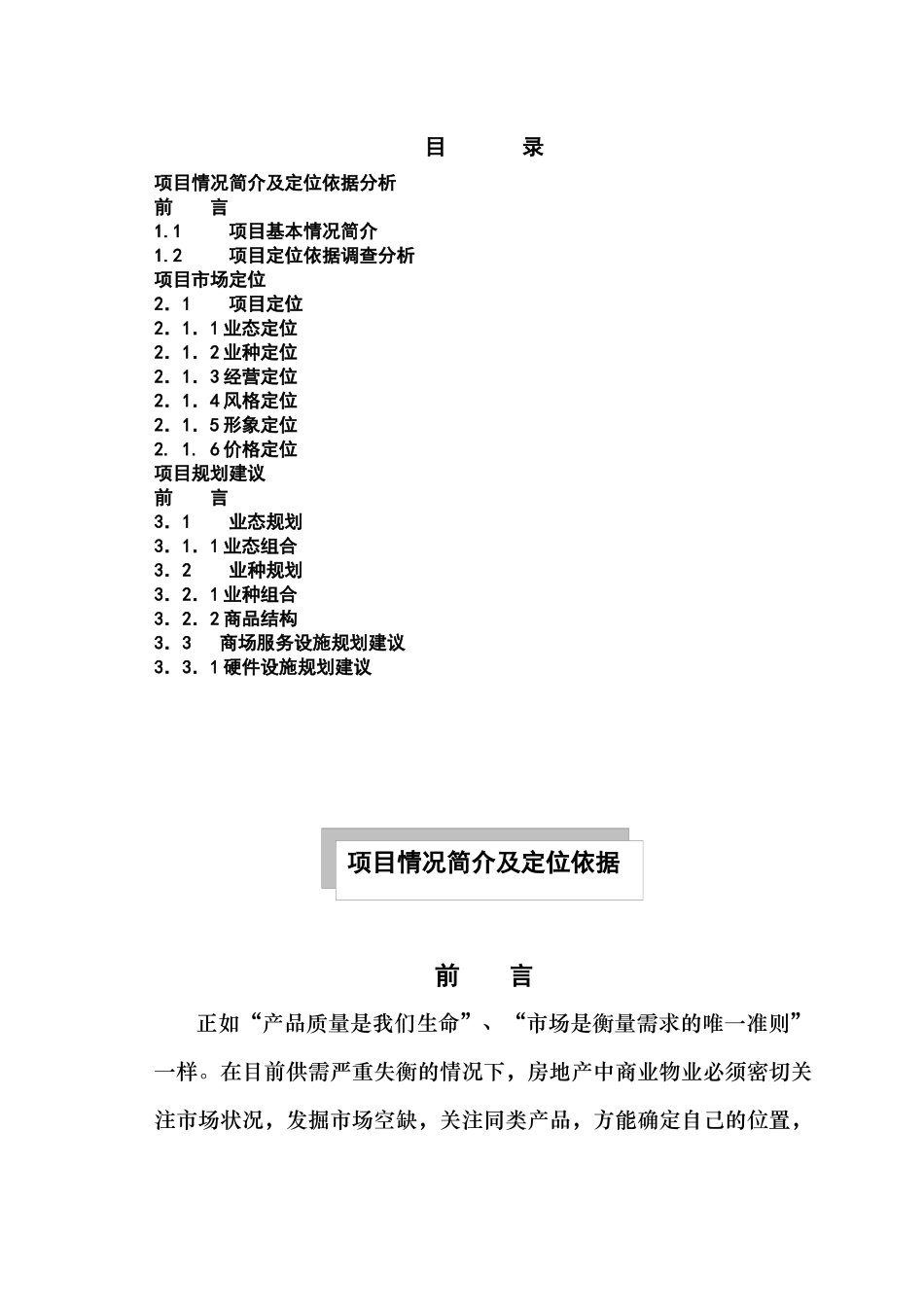 项目策划(三峡风-时代广场)_第1页