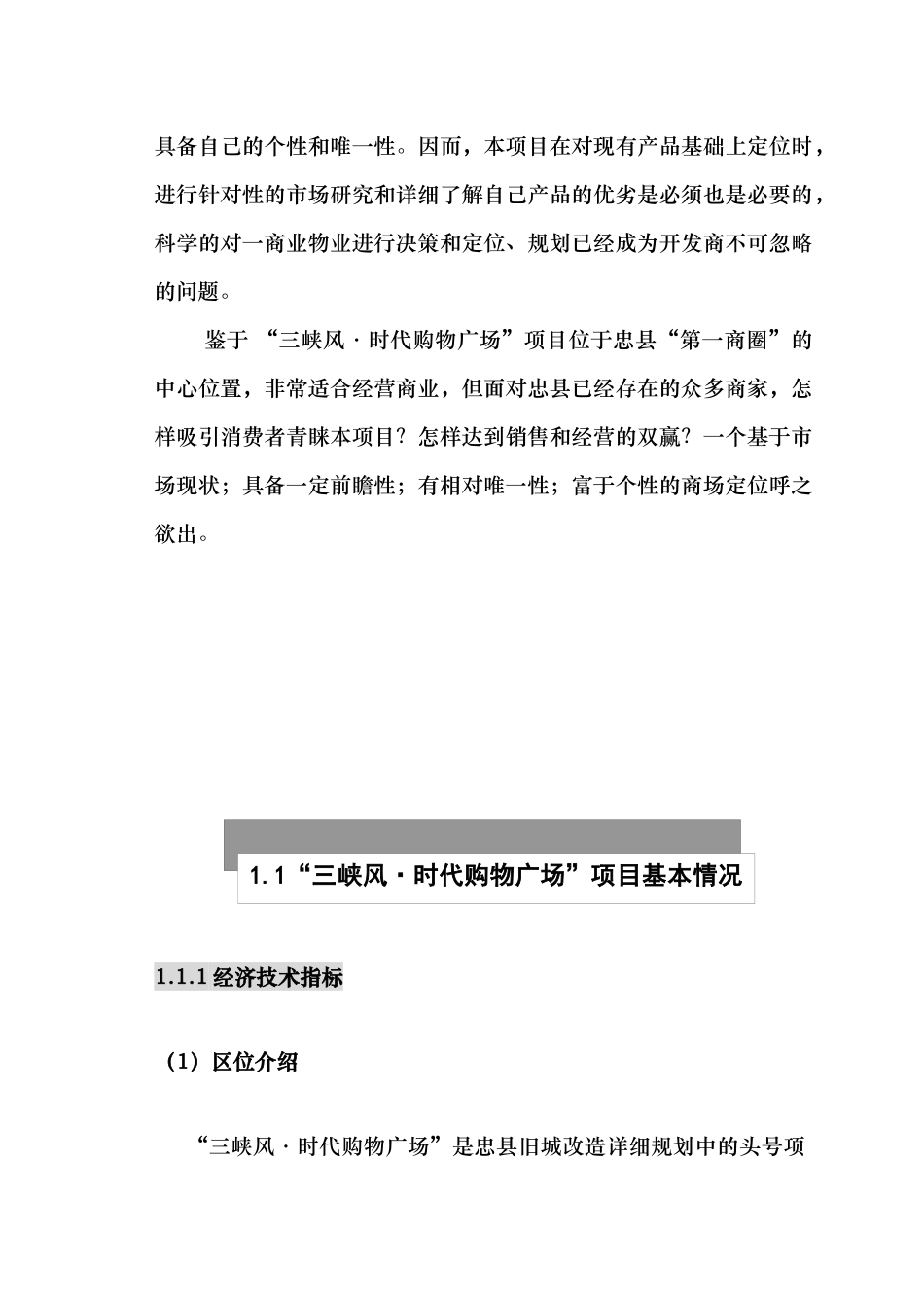 项目策划(三峡风-时代广场)_第2页