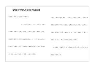 实用的小学写人作文800字汇编9篇