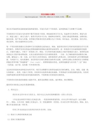 项目的概念与属性