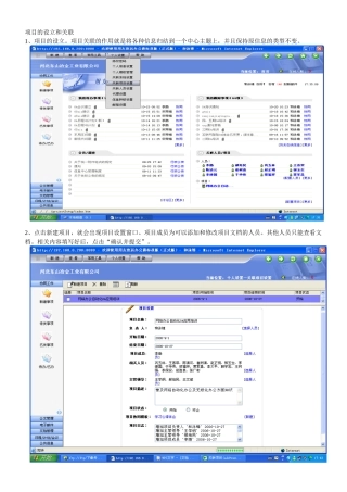 项目的设立和关联