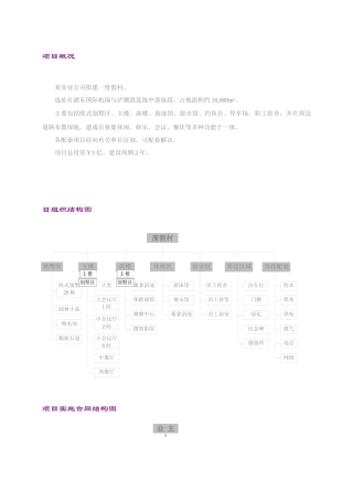 项目概况(1)