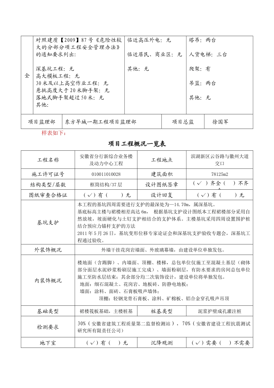 项目概况表样表_第2页