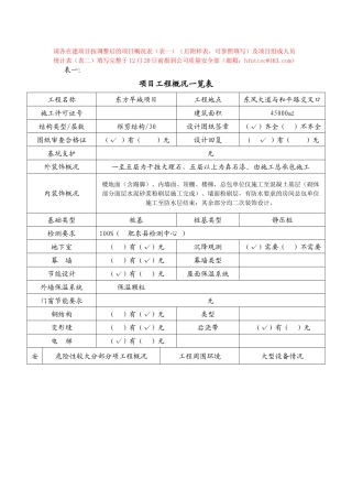 项目概况表样表