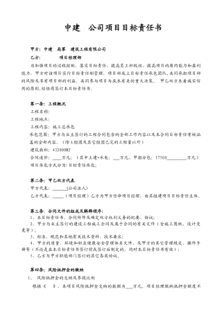 项目目标责任合同( )