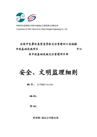 项目安全监理细则