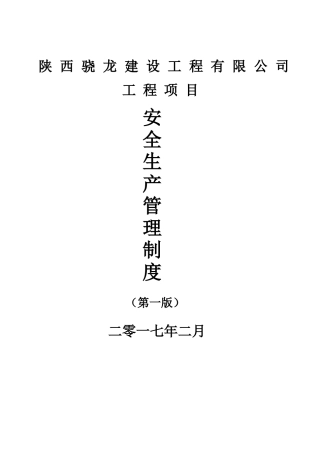 项目安全生产管理制度2017