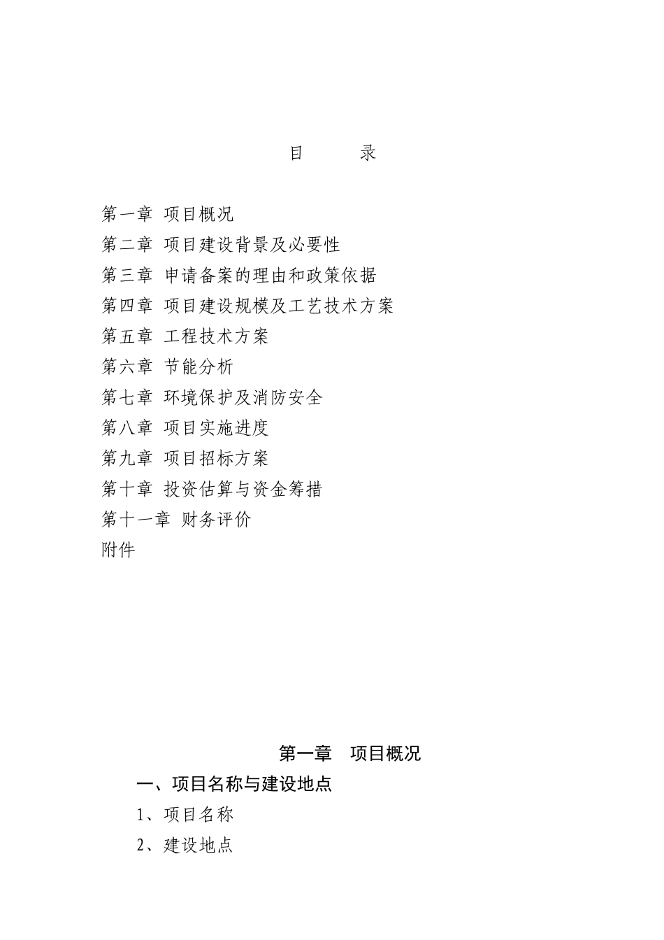 项目备案报告格式内容_第1页