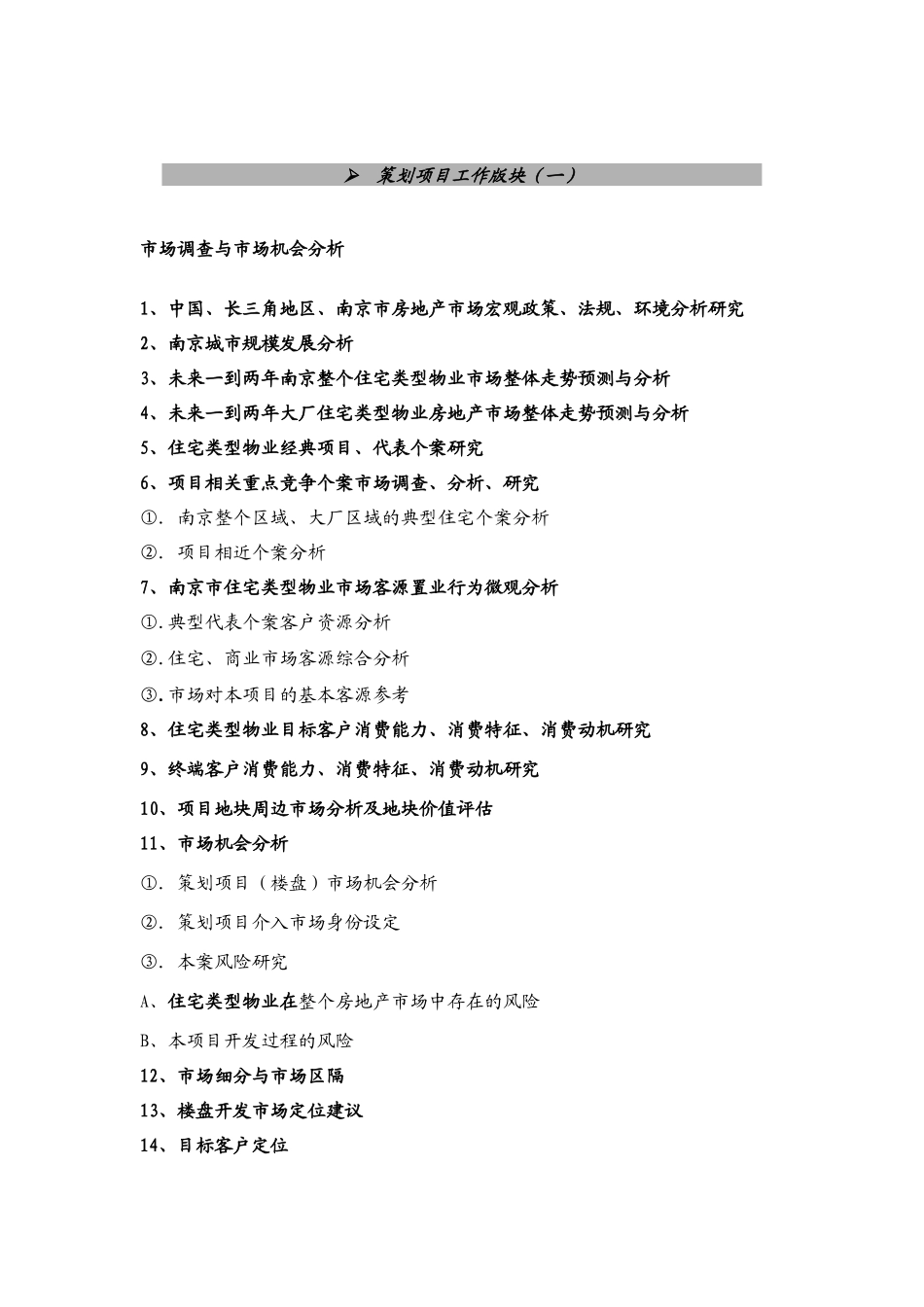 项目代理策略综合大纲_第2页