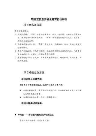 项目定位及开发主题可行性报告评估
