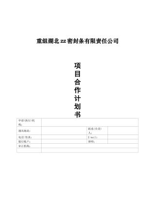 项目合作计划书